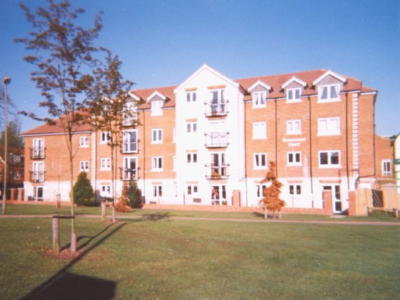Main Image